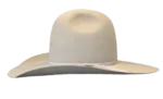 Walker Yellowstone Hat