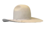 Walker Yellowstone Hat